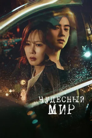 Чудесный мир — постер