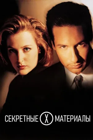 Секретные материалы — постер