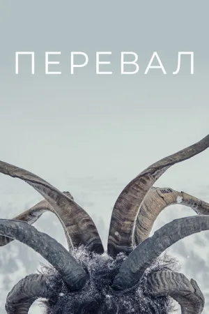 Перевал — постер