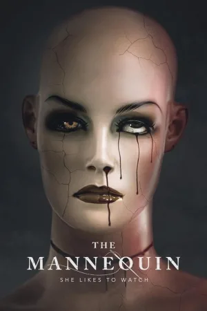 The Mannequin — постер