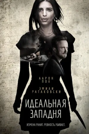 Идеальная западня — постер