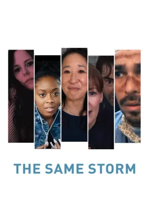 The Same Storm — постер