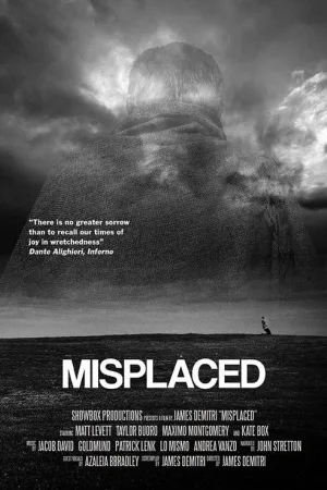 Misplaced — постер
