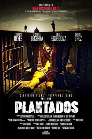 Plantados — постер
