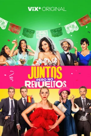 Juntos pero no revueltos — постер
