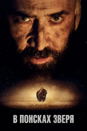 В поисках зверя — постер