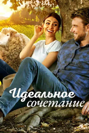 Идеальное сочетание — постер
