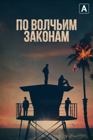 По волчьим законам — постер