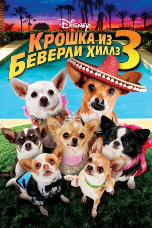 Крошка из Беверли-Хиллз 3 — постер