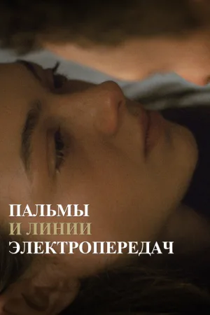 Пальмы и линии электропередач — постер