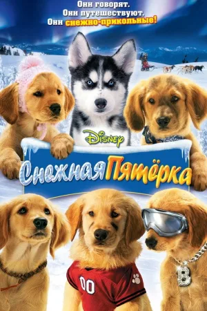 Снежная пятёрка — постер