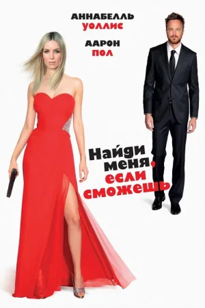 Найди меня, если сможешь — постер