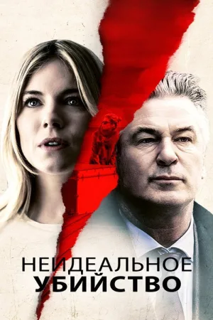 Неидеальное убийство — постер