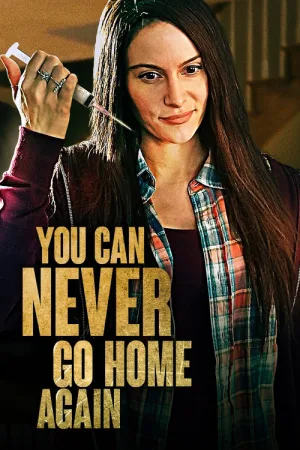 You Can Never Go Home Again — постер
