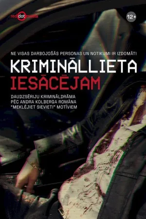 Krimināllieta iesācējam — постер