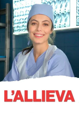 Практикантка — постер