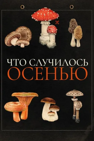 Что случилось осенью — постер