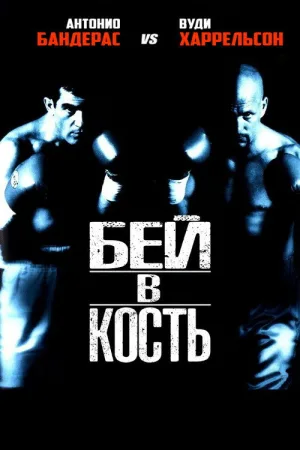 Бей в кость — постер