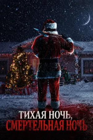 Тихая ночь, смертельная ночь — постер