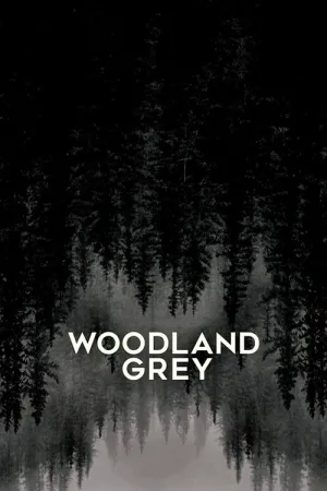 Woodland Grey — постер