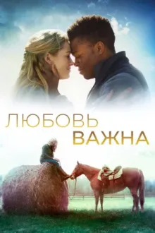 Любовь важна — постер