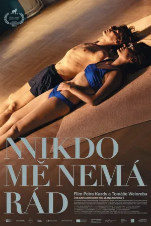 Nikdo mě nemá rád — постер
