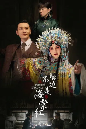 鬓边不是海棠红 — постер