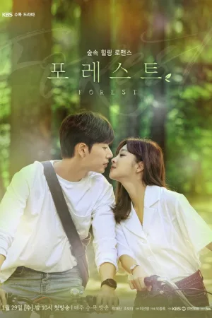 포레스트 — постер