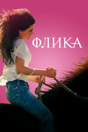 Флика — постер