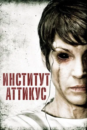 Институт Аттикус — постер