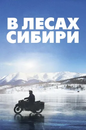 В лесах Сибири — постер