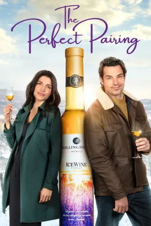 The Perfect Pairing — постер