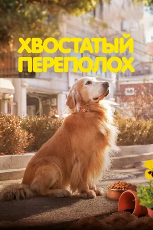 Хвостатый переполох — постер