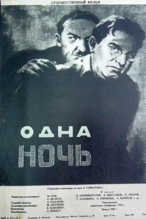 Одна ночь — постер