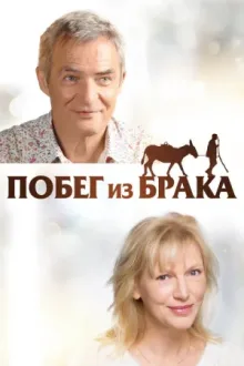 Побег из брака — постер