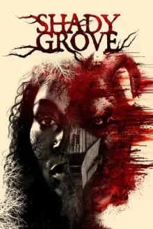 Shady Grove — постер