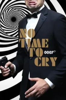 No Time to Cry — постер