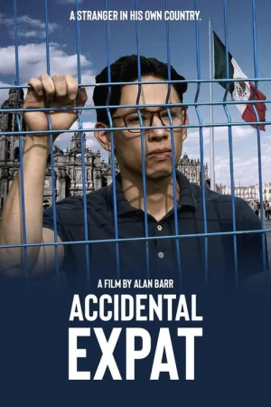 Accidental Expat — постер