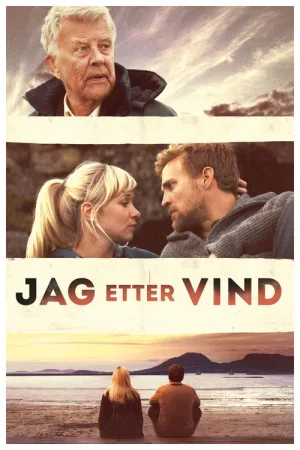 Jag etter vind — постер