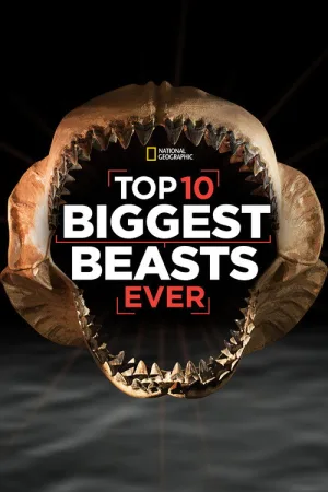 Top 10 Biggest Beasts Ever — постер