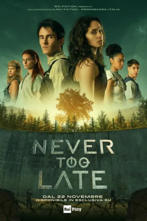 Never Too Late — постер