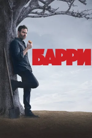 Барри — постер