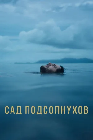 Сад подсолнухов — постер