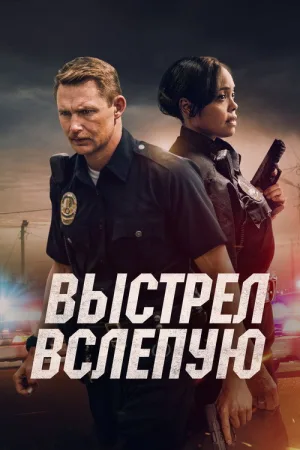 Выстрел вслепую — постер