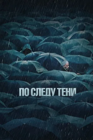 По следу тени — постер