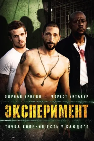 Эксперимент — постер