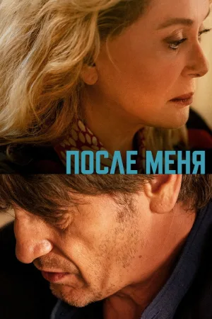 После меня — постер