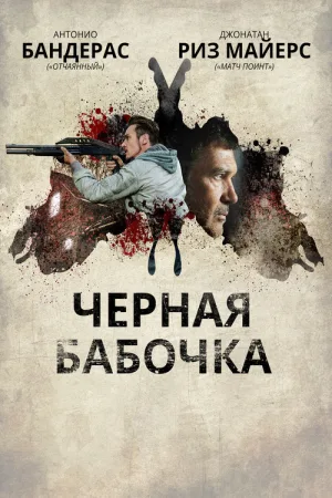 Черная бабочка — постер
