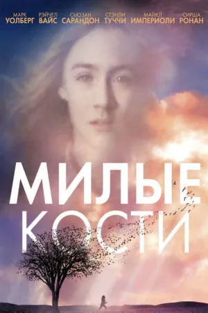 Милые кости — постер