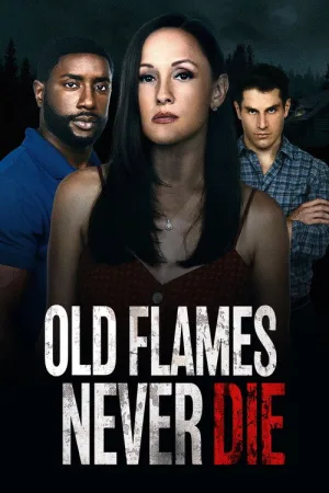 Old Flames Never Die — постер